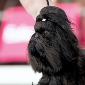 Meet your Posher, Rhonda